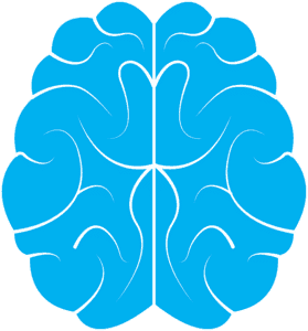 Gehirn mit Amygdala, welche eine essentielle Rolle bei der Entstehung der Angst wirkt.