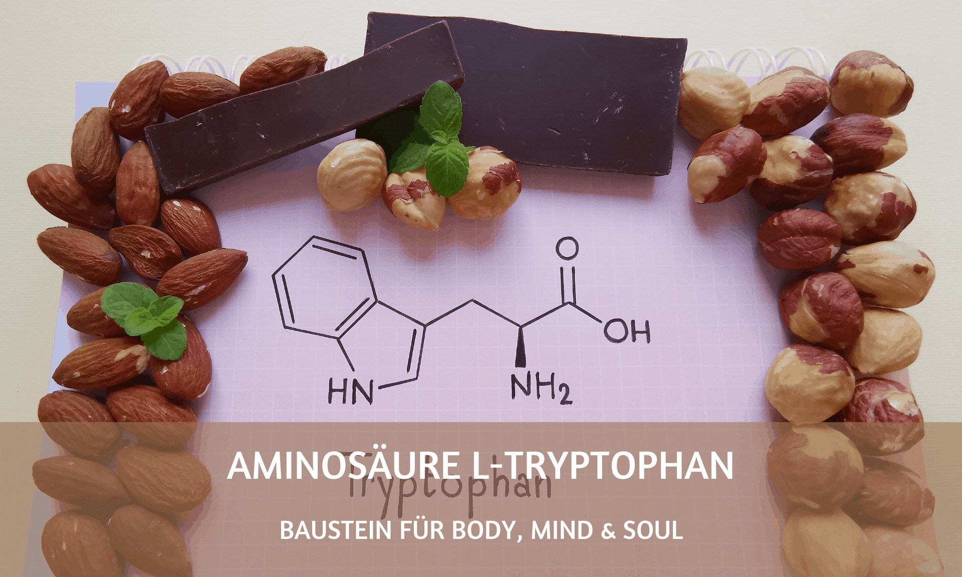 Baustein für Body, Mind & Soul: die Aminosäure L-Tryptophan