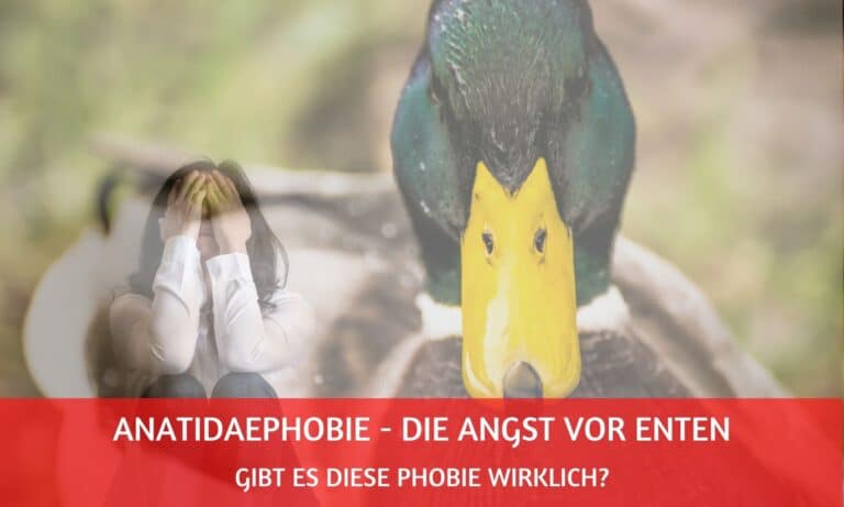 Anatidaephobie – gibt es die Angst vor Enten wirklich?