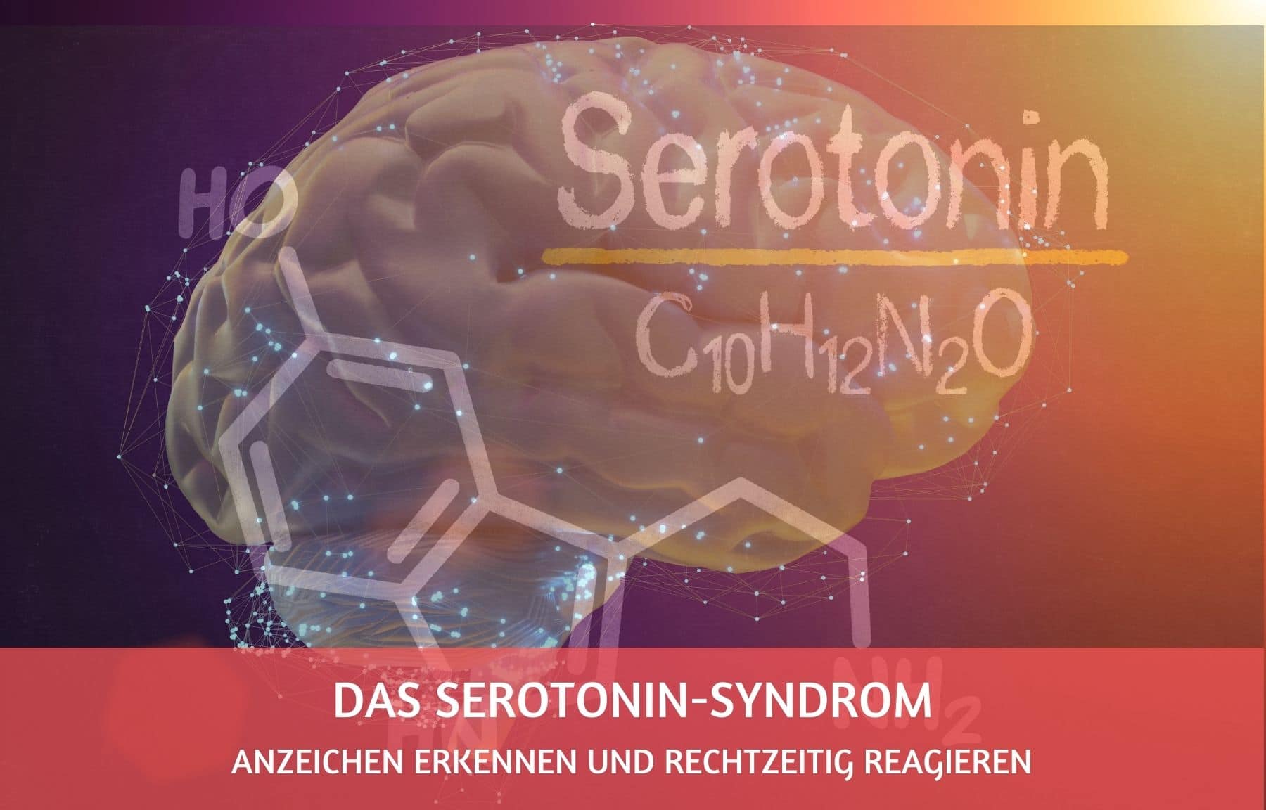 Das Serotonin Syndrom