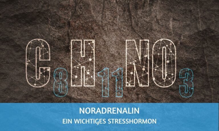 Noradrenalin: das unterschätzte Stresshormon