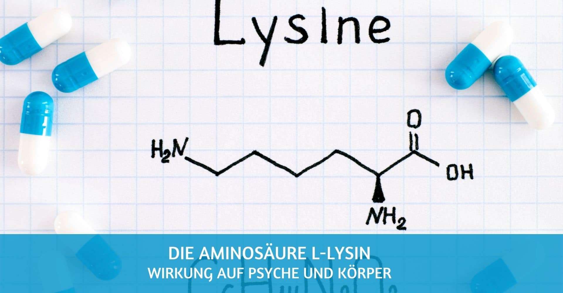 L Lysin Wirkung Psyche