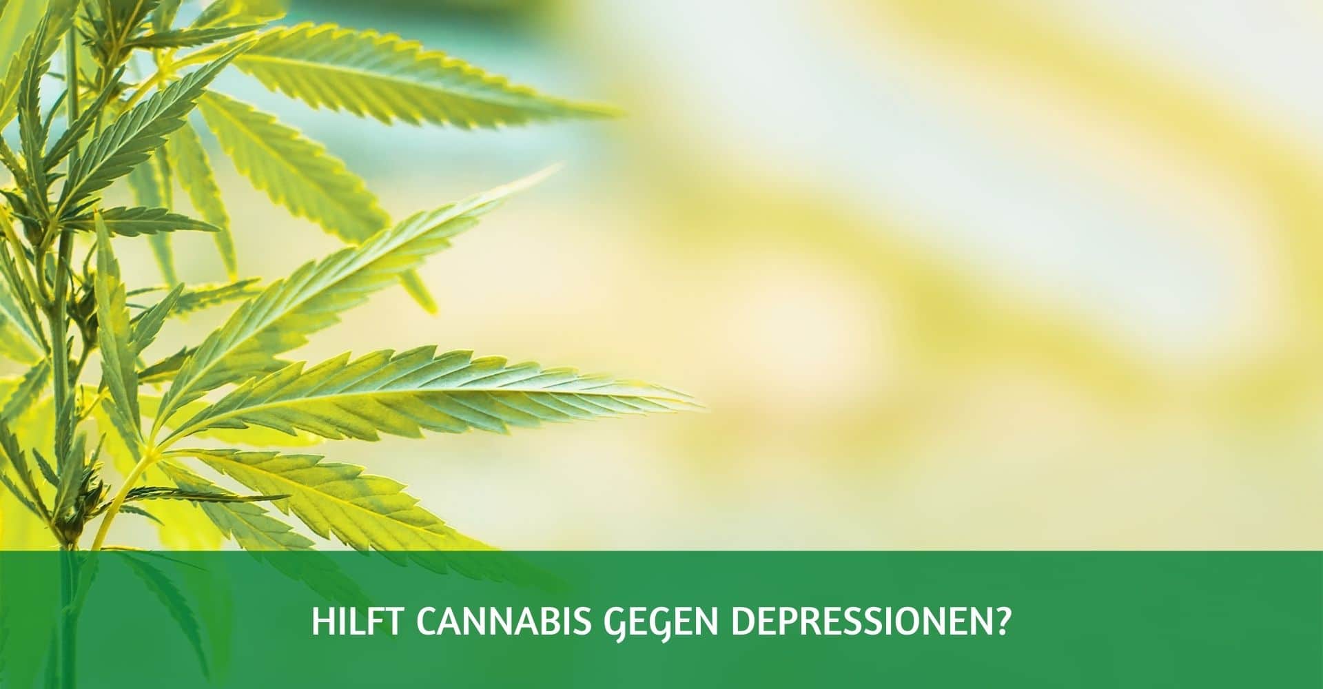 Cannabis gegen Depressionen