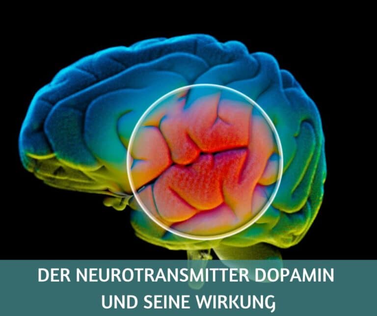 Was ist Dopamin und welche Wirkung hat es?