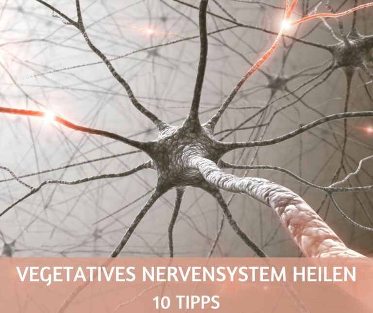 Vegetatives Nervensystem heilen auf natürliche Weise