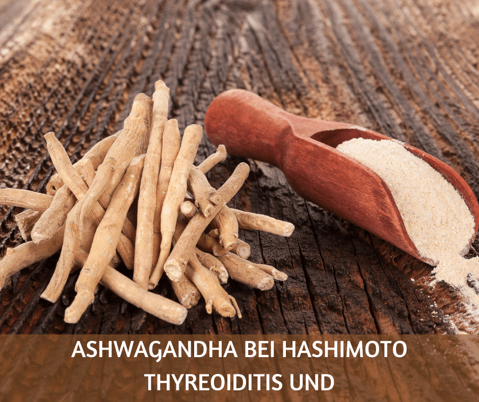 Ashwagandha bei Hashimoto Thyreoiditis und Schilddrüsenunterfunktion