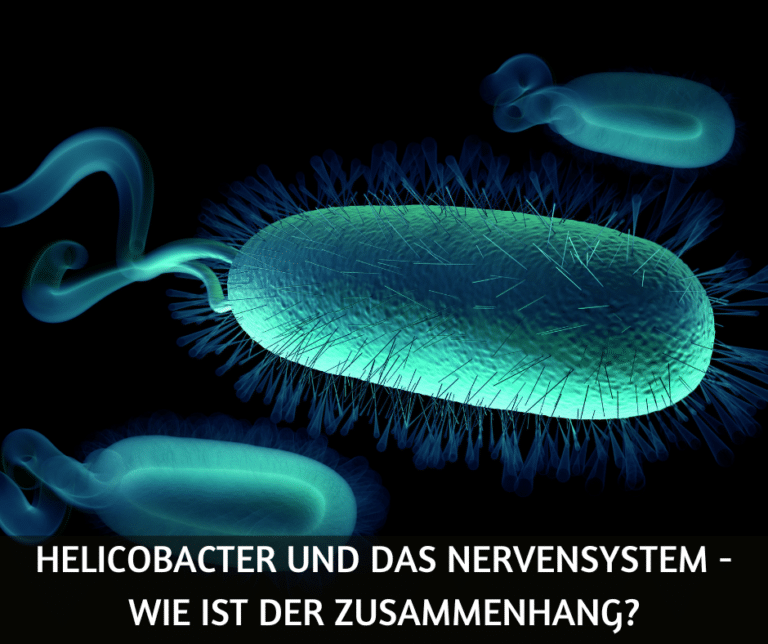 Helicobacter und das Nervensystem – der Zusammenhang